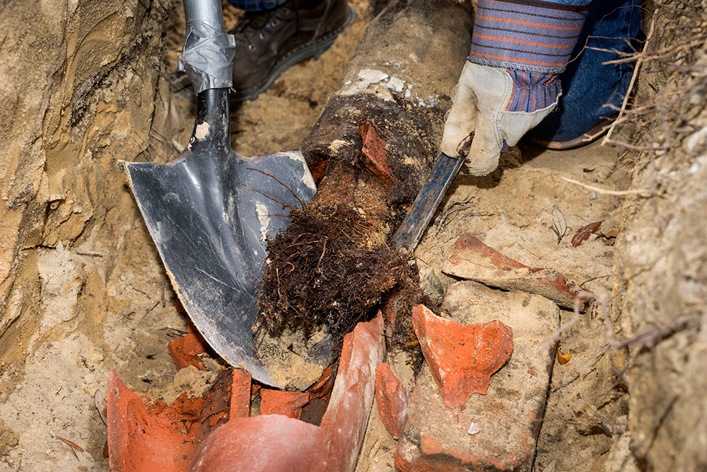 Clay-Sewer-Lateral-Pipe-Bursting-with-Roots_Pipe-Spy-California