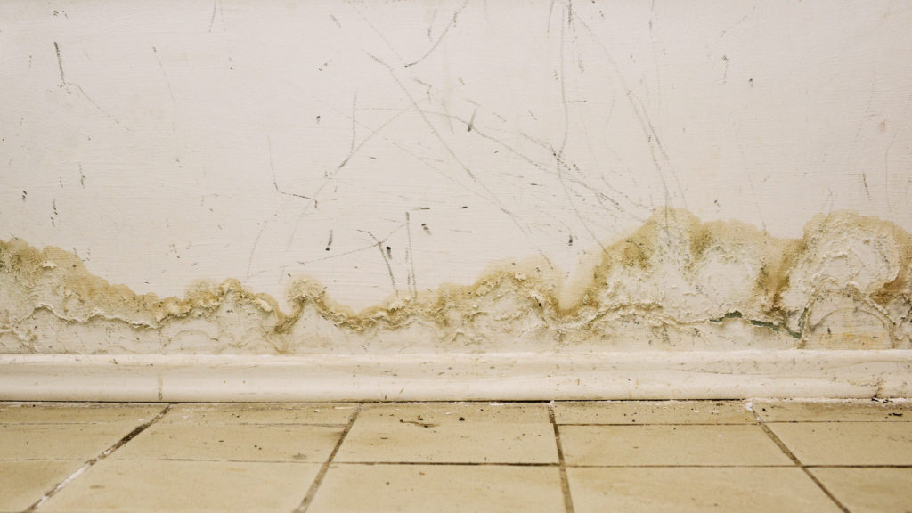 Big wet spots and black mold on the wall of the domestic house room after heavy rain and lot of water