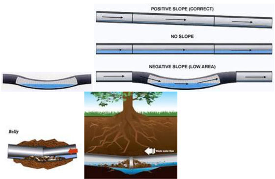 sewer-line-belly-diagram-tree-roots_pipe-spy