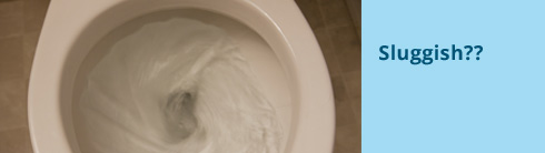 slow-flushing-toilet-problem-faq